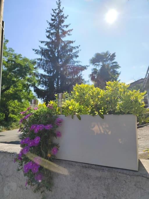 Studio Apartman Tadic Matulji Buitenkant foto